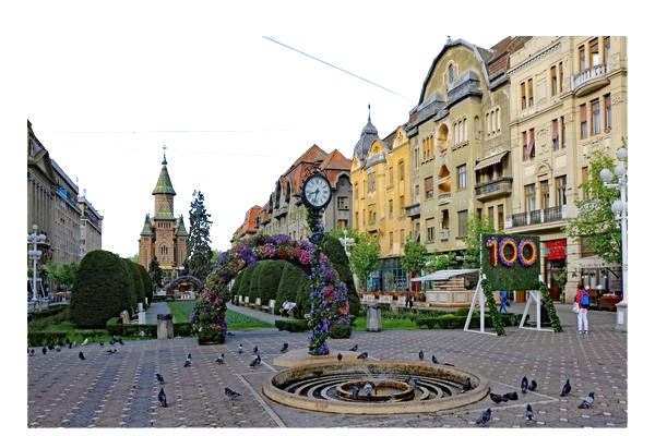 imagine oraşul Timișoara